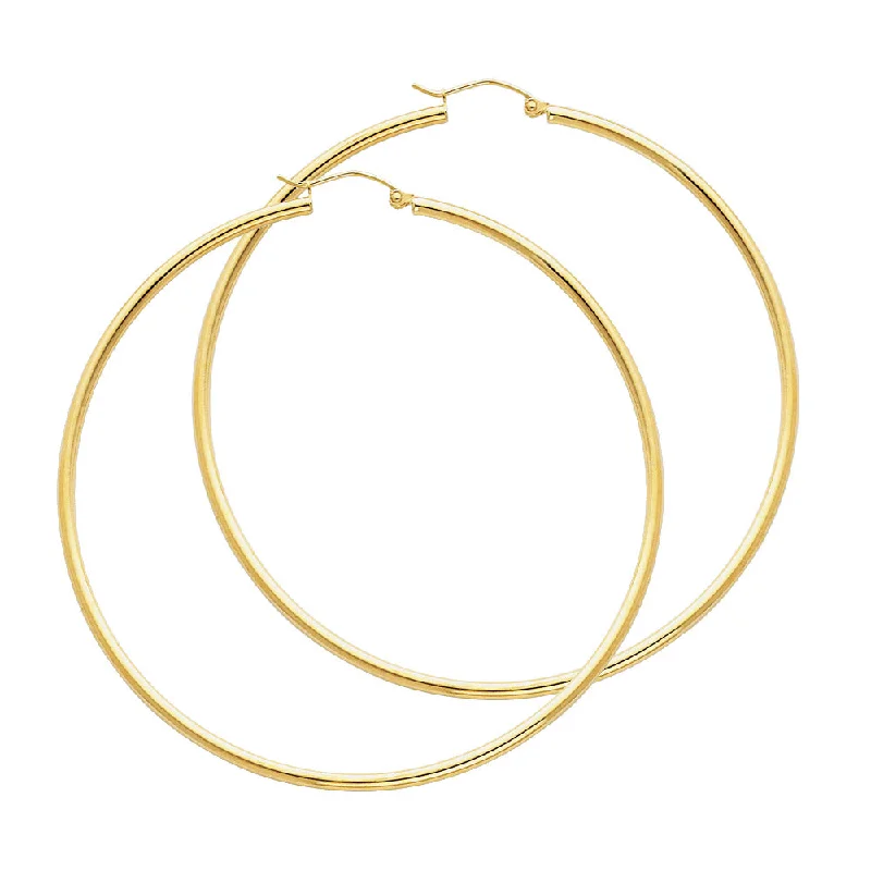 14K Gold Hoop Earnings